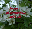 Весна в Ефремовском районе!