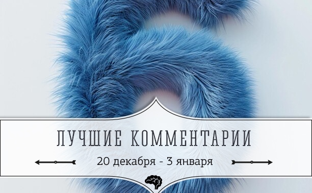 6 лучших комментариев: 20 декабря - 3 января