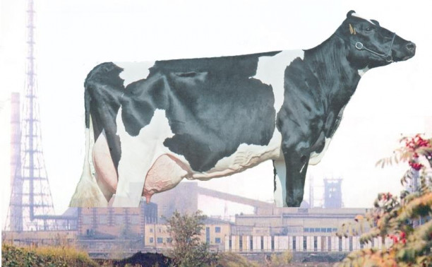 Самая «дойная корова» тульской экономики?