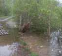Косогорский пруд бежит от мусора
