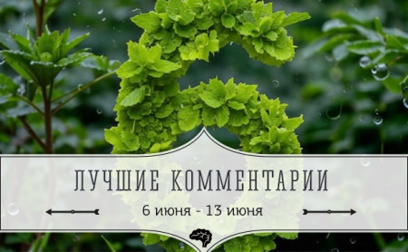 6 лучших комментариев: 6 - 13 июня