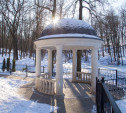 Морозный солнечный день в Платоновском парке