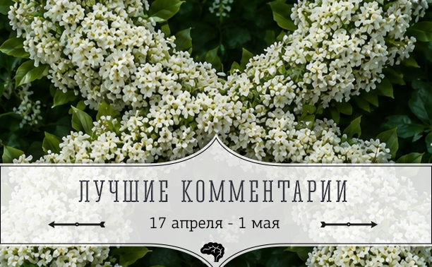 8 лучших комментариев: 17 апреля - 1 мая