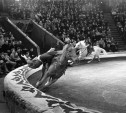 24 сентября: в Туле отметили 60-летие советского цирка