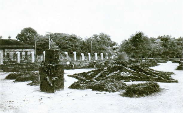 17 июля: в Туле устроили ночные пляски на кладбище