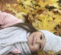 Голосуйте за осенние фото в конкурсе «На ковре из жёлтых листьев»