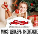 Выбираем Мисс Декабрь Вконтакте!