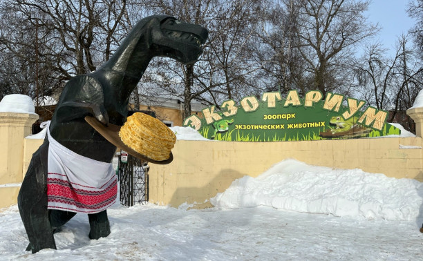 Масленичная Лакомка: как в Тульском экзотариуме украшали Тёщу и угощали блинами животных