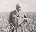 10 марта: туляк написал Хрущеву письмо о проблемах с продуктами