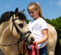 А пони тоже кони: 9-летняя тулячка – в числе лучших в конном спорте по выездке