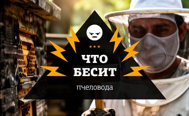 Что бесит пчеловода: 13 способов быть ужаленным