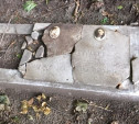 В Туле на старом кладбище найдена могила автора романса «На муромской дорожке»