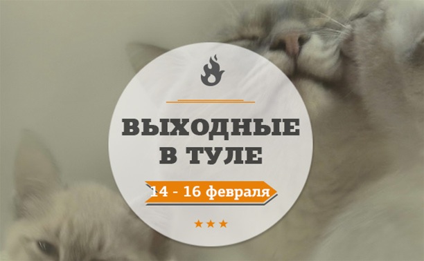 Выходные в Туле: 14 - 16 февраля