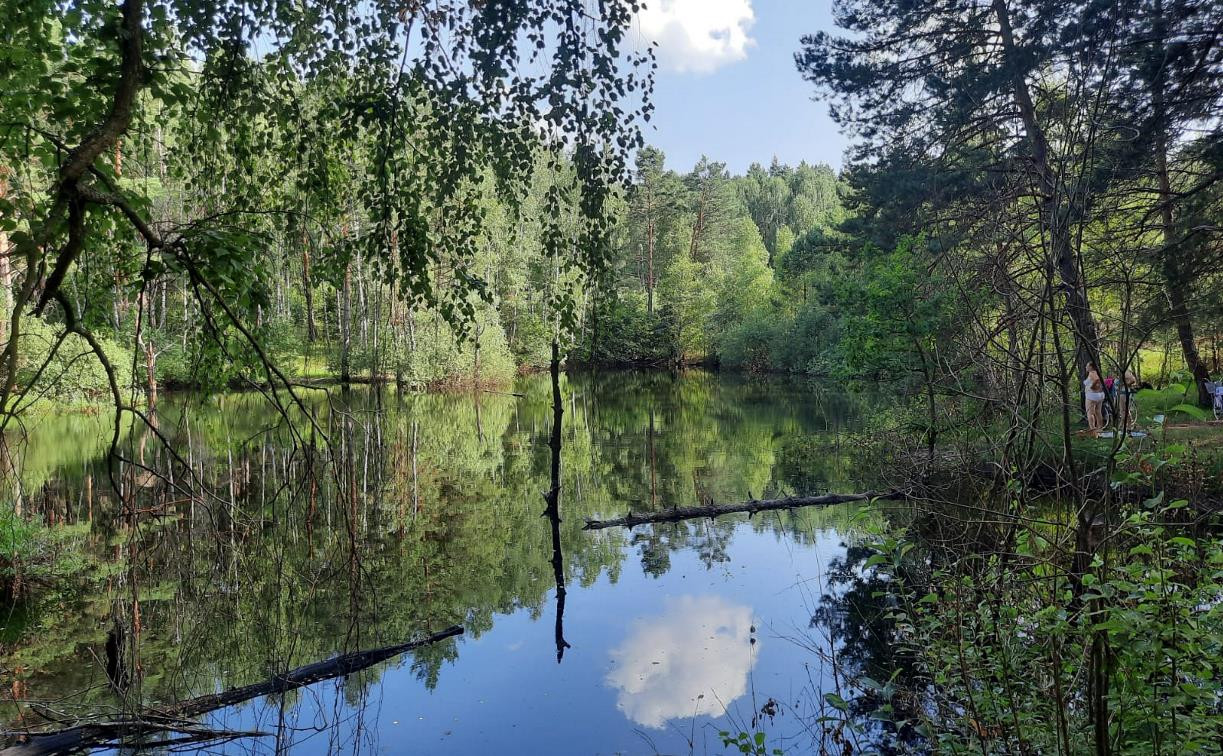 Наедине с природой: пять секретных мест у воды в Тульской области