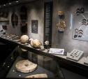 Музей археологии Тульского кремля: Пернач, раскопки и древние саркофаги