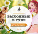 Выходные в Туле: 20-22 апреля