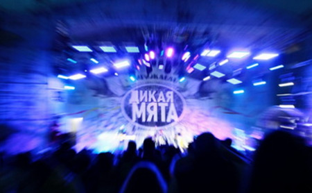 Выходные на фестивале «Дикая Мята – 2014»: Ярко, музыкально, свежо!