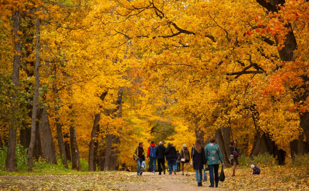 Золотая осень в Туле: 130 красивых фотографий