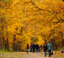 Золотая осень в Туле: 130 красивых фотографий
