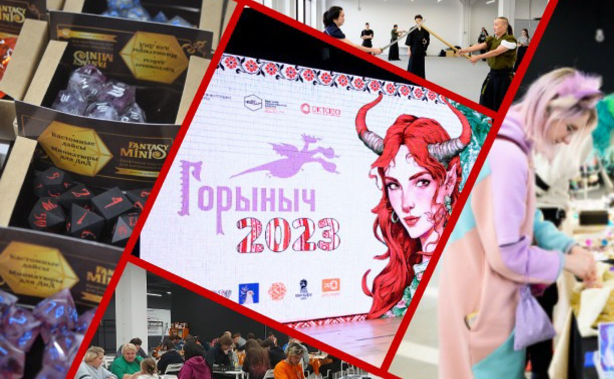 Ролевая ярмарка, кэндзюцу и световое шоу: в Туле прошел фестиваль настольных игр «Горыныч 2023»
