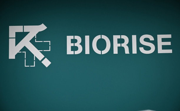 Возродиться после праздников