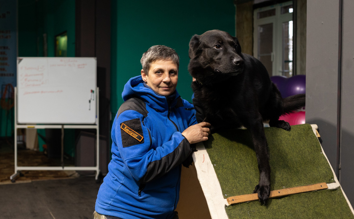 Хвостатые волонтеры: как собаки ищут пропавших живых и мертвых