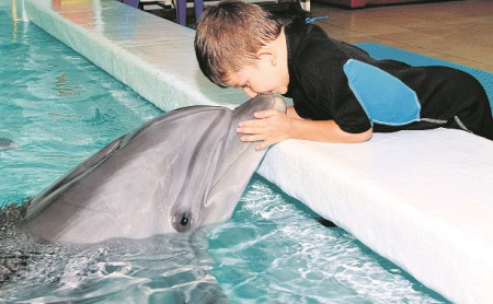 Подарите себе чудо общения с дельфинами!