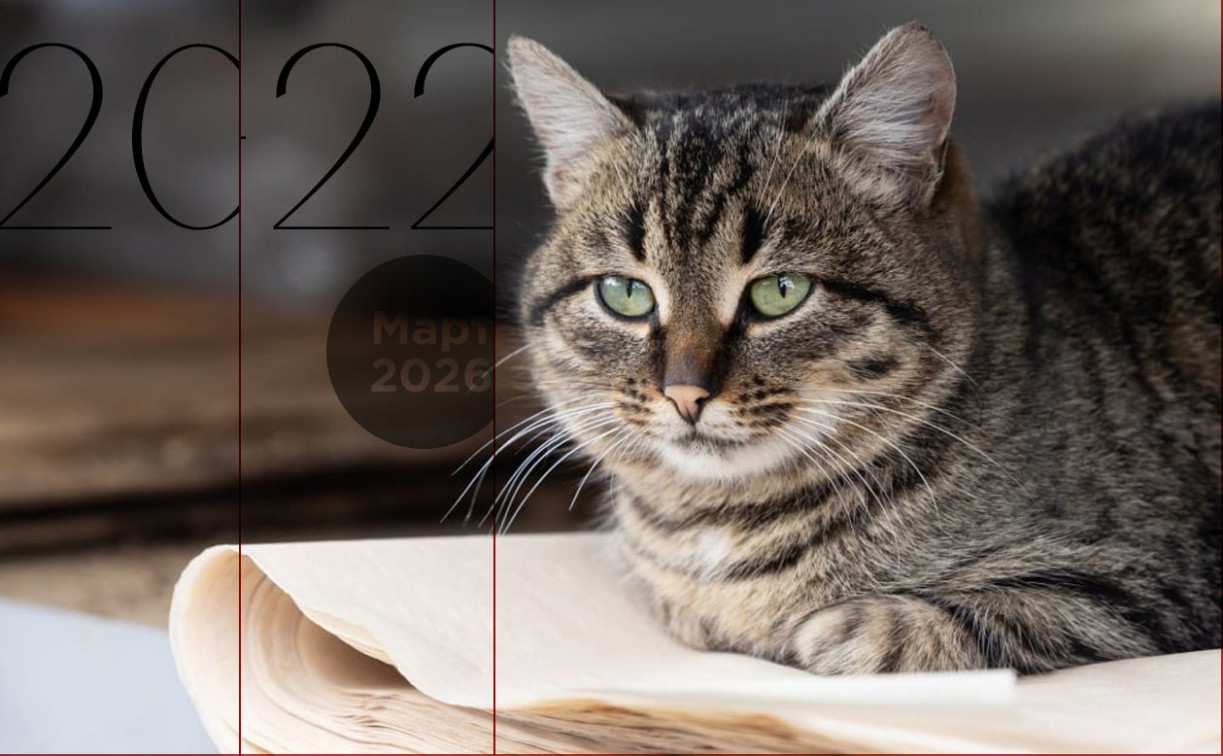 Стендап и чемпионат по армрестлингу: выходные в Туле  