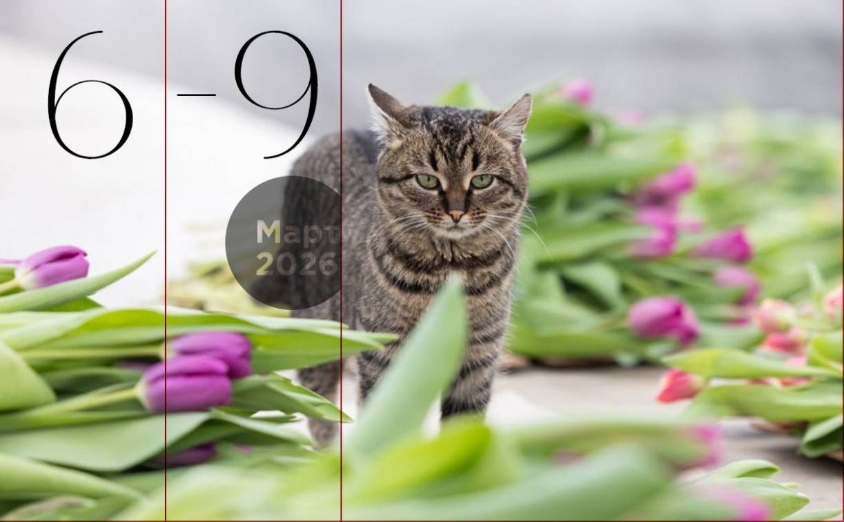 Концерты Xolidayboy, The Hatters, Аффинаж и хип-хоп фест нулевых: выходные в Туле  