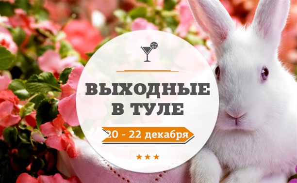 Выходные в Туле: 20 - 22 декабря