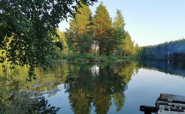 Семь мест в Тульской области для отдыха у воды с палатками