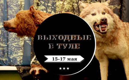 Выходные в Туле: 15-17 мая