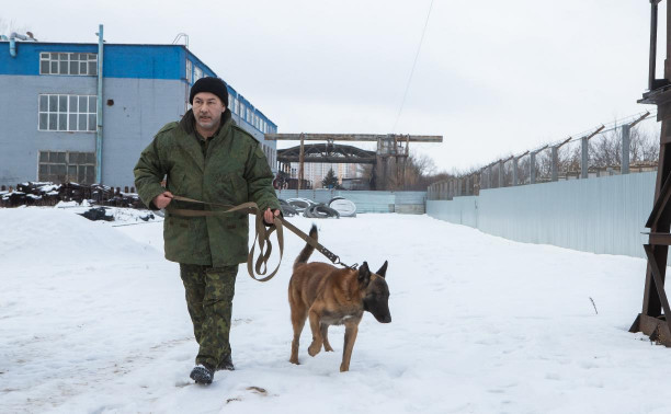 Как живет собачий патруль Туламашзавода