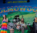 Суперчистая энергия фестиваля Holmowood