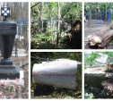 Факты и мистика: На старинном кладбище в Туле разгулялась стихия