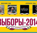 Выборы-2014