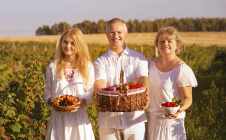 Милена Губенко: Ягодная плантация – вкусный и сладкий бизнес