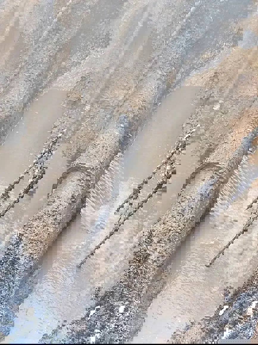 photo_2026-01-19_12-45-44 (2).jpg