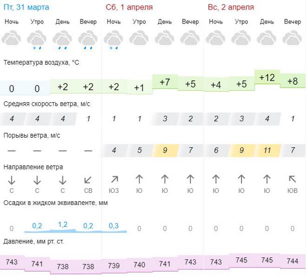 Погода питер апрель 2024 гисметео. Тульская область гисметео.