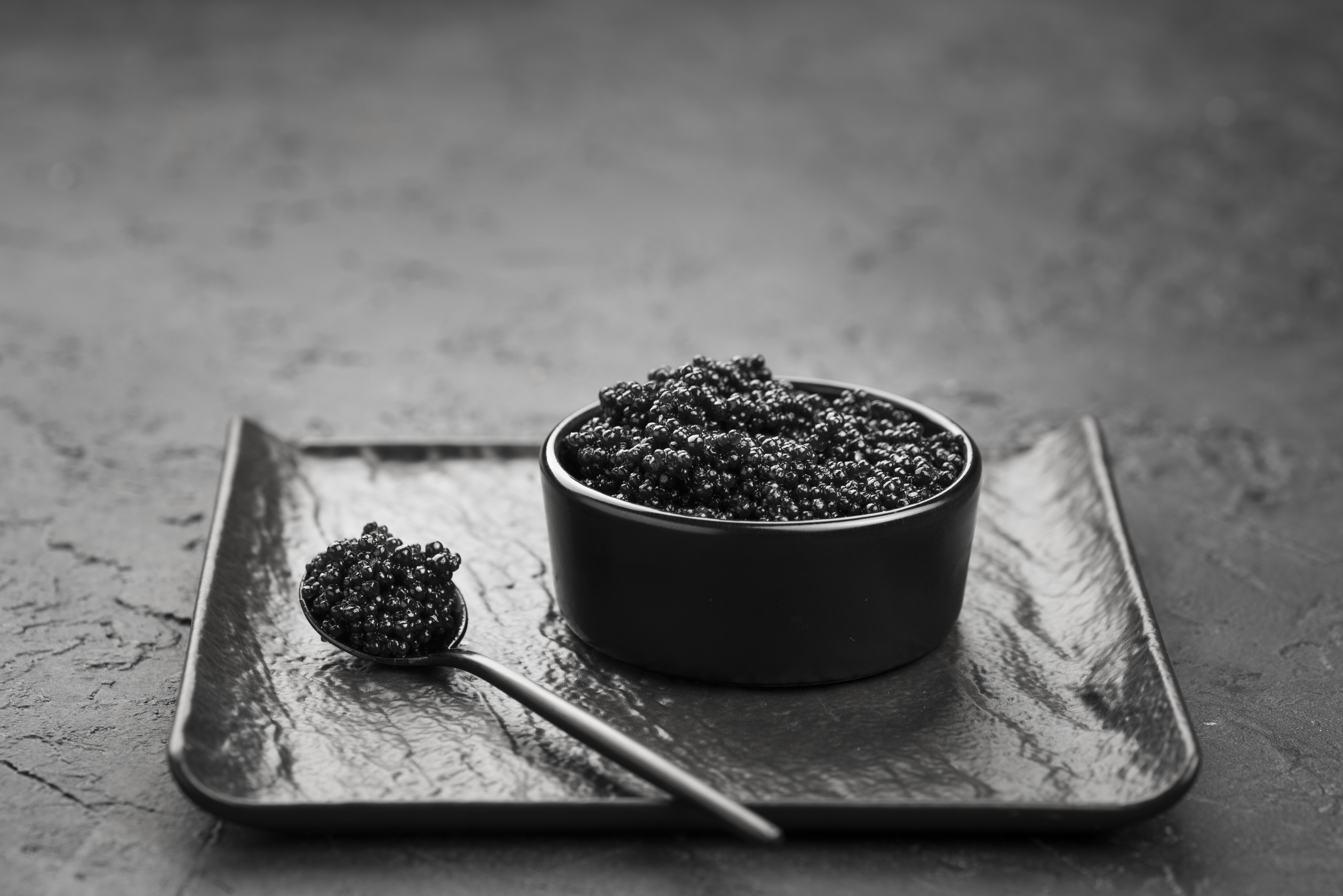 high-angle-bowl-with-black-caviar.jpg