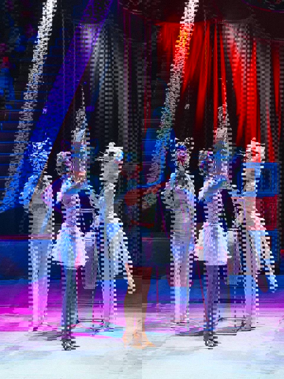 IMAGE 2025-12-04 16:11:29.jpg