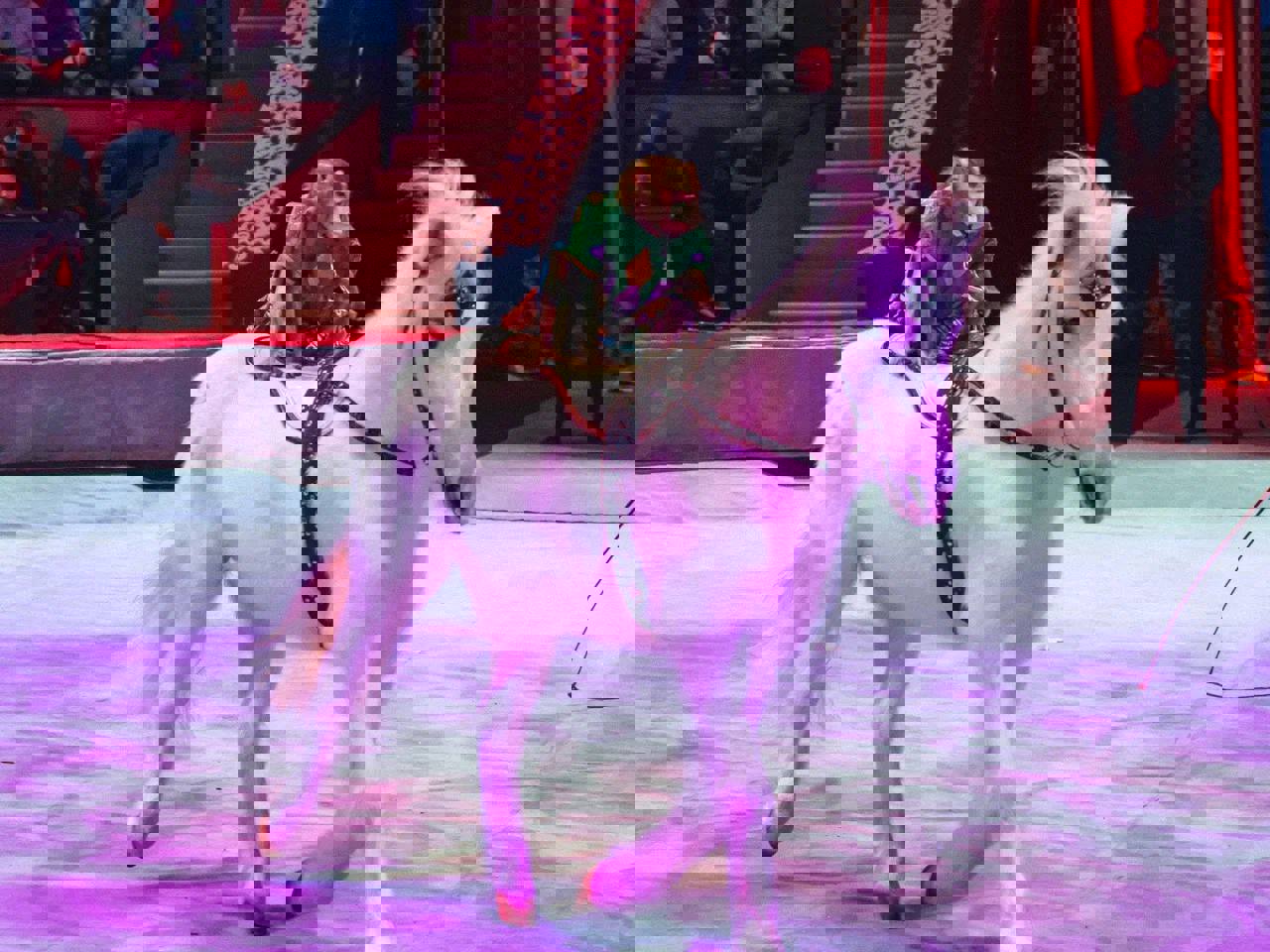 IMAGE 2025-12-04 15:48:14.jpg