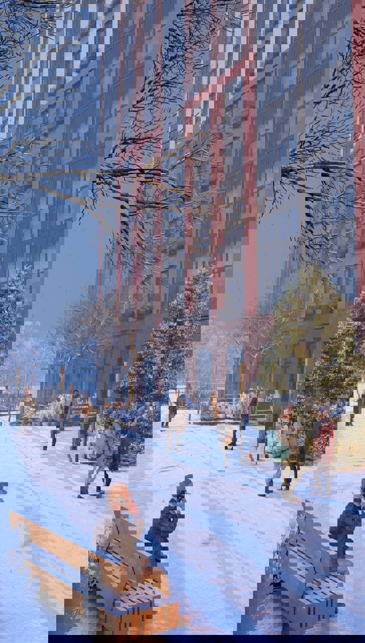 IMAGE 2026-01-26 16:30:48.jpg