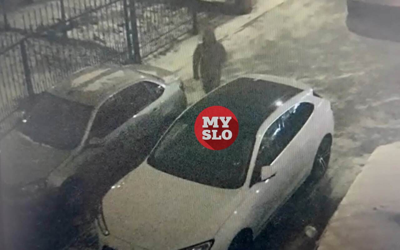 силуэт (1).jpg