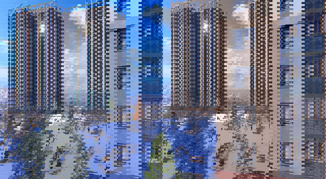 IMAGE 2025-11-18 18:18:09.jpg