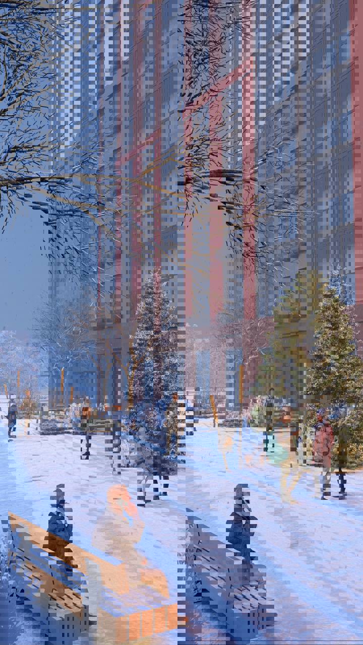 IMAGE 2025-11-18 18:18:33.jpg