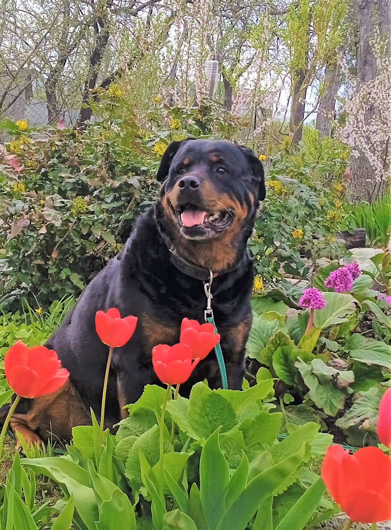 IMG_20220512_144024_1 — копия.jpg