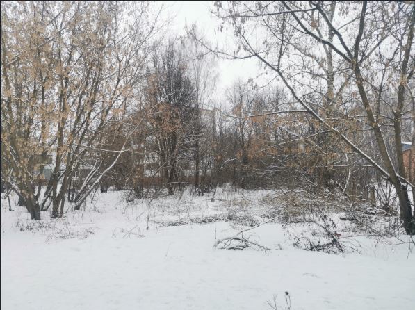 кимовск сквер1.JPG