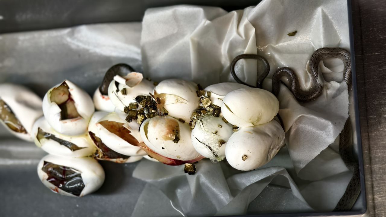 photo_2025-08-01_17-39-02 (2).jpg