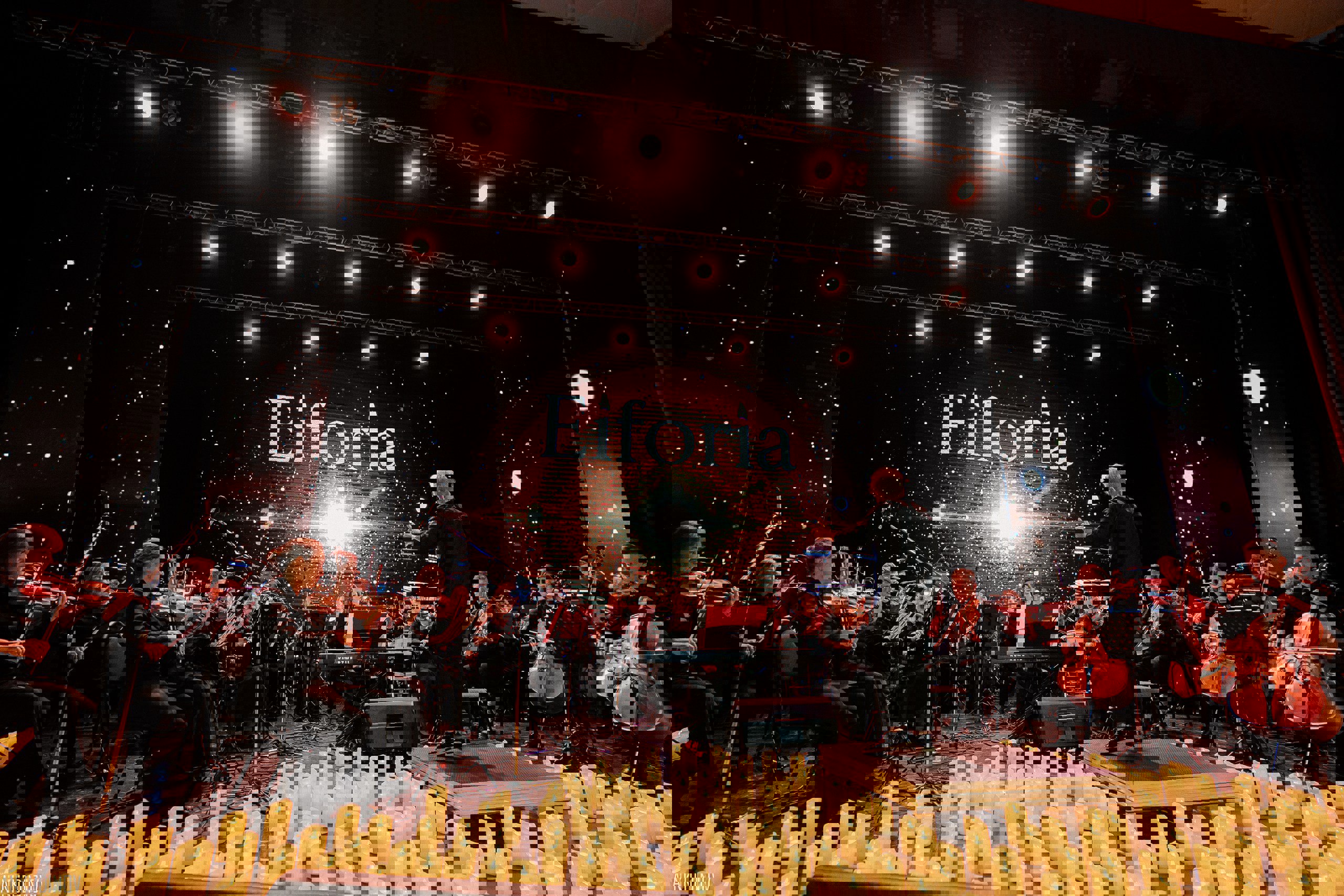 IMAGE 2026-01-20 14:11:10.jpg